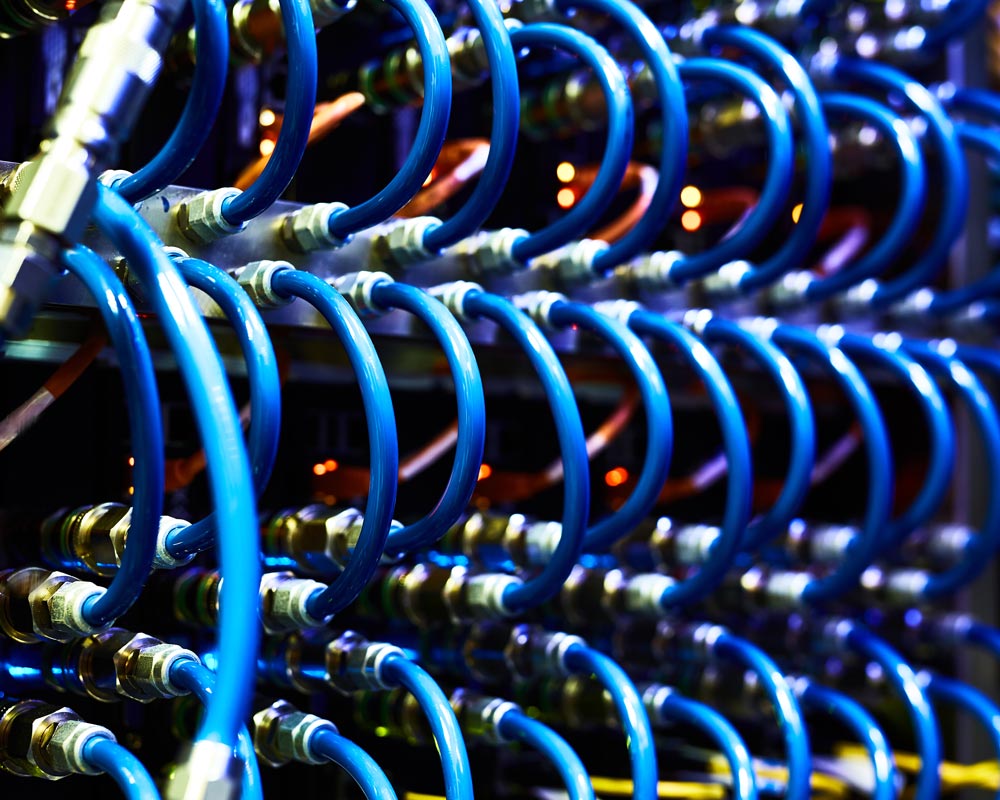 A close-up of numerous blue network cables configured for data voice cabling, connected to a server or network switch. The cables are neatly organized and looped, each in corresponding ports, with glowing indicator lights visible in the background.